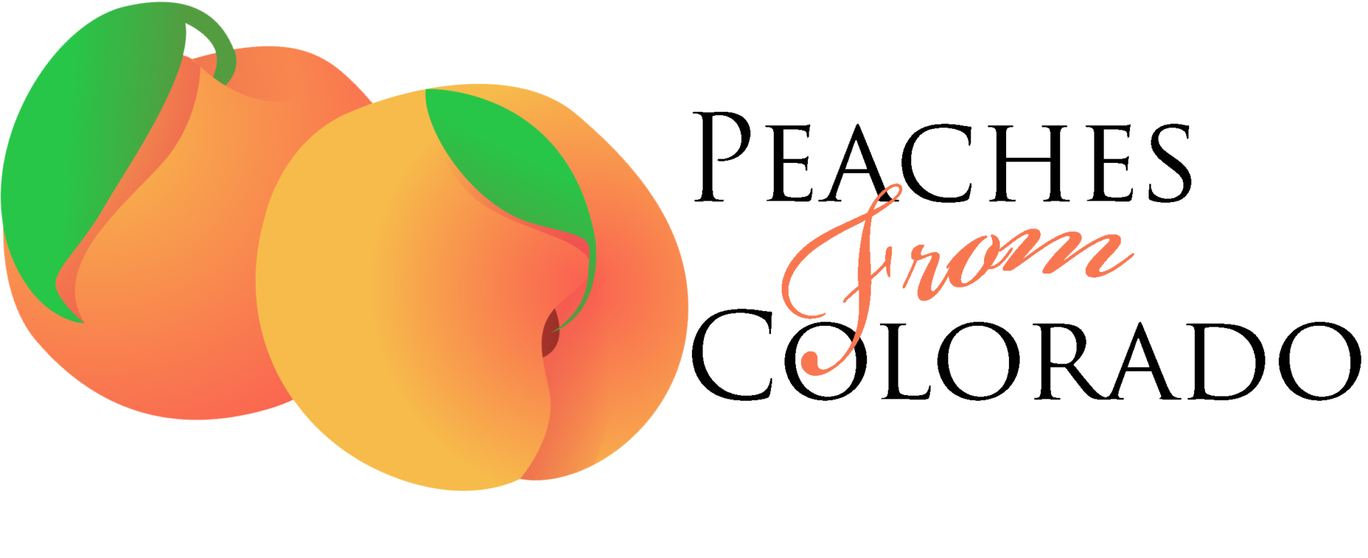Fresh Peaches From Colorado