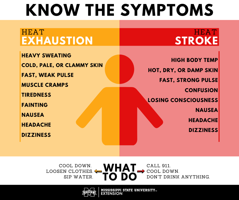 How to Recognize Heat-Related Illness | Mississippi State University Extension Service